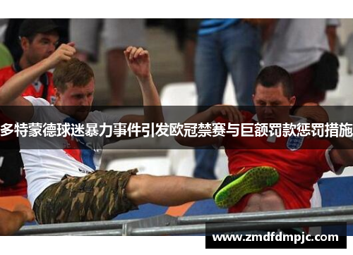 多特蒙德球迷暴力事件引发欧冠禁赛与巨额罚款惩罚措施
