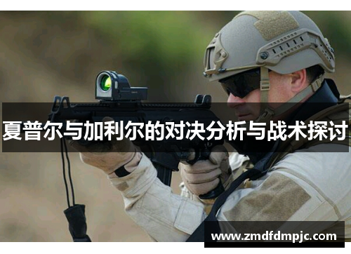 夏普尔与加利尔的对决分析与战术探讨