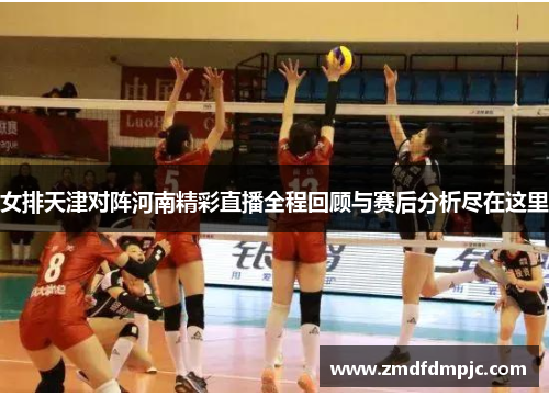 女排天津对阵河南精彩直播全程回顾与赛后分析尽在这里