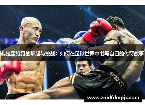 弗拉霍维奇的崛起与挑战：如何在足球世界中书写自己的传奇故事