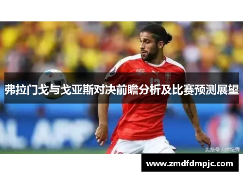 弗拉门戈与戈亚斯对决前瞻分析及比赛预测展望