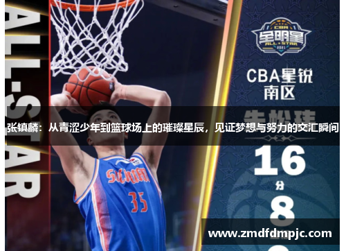 张镇麟：从青涩少年到篮球场上的璀璨星辰，见证梦想与努力的交汇瞬间